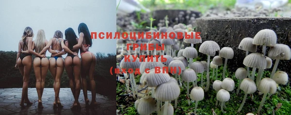 кокаин премиум Магас