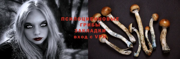 ешки Магадан