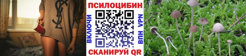 Галлюциногенные грибы MAGIC MUSHROOMS  закладки  Чебаркуль 