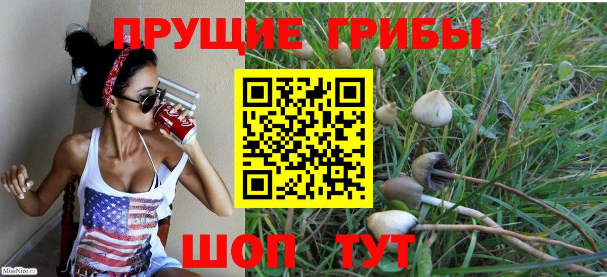 Псилоцибиновые грибы MAGIC MUSHROOMS Чебаркуль