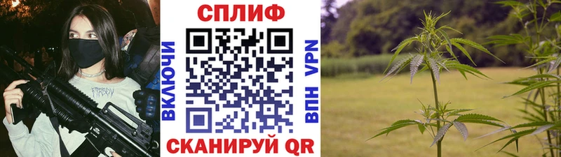 Канабис конопля Чебаркуль